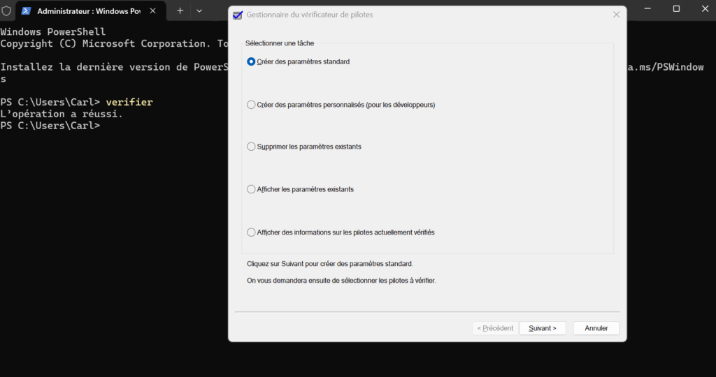 Microsoft Driver Verifier